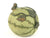 Tea Pet - Frog/Watermelon