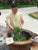 Long Jing - Pre Qing Ming