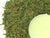 Long Jing - Pre Qing Ming