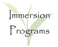Immersion Programs